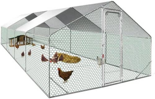 Parc grillagé pour poules 20 m2