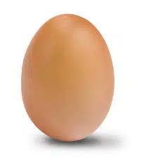 Un bel œuf bien formé : tout savoir sur sa composition