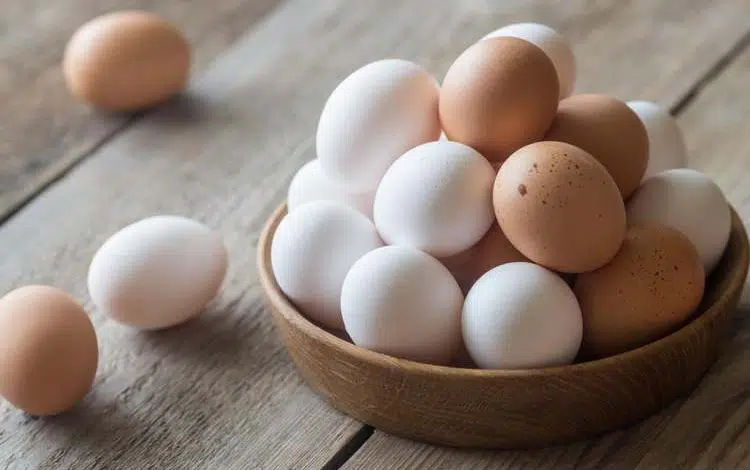Coquille d’œuf et problèmes
