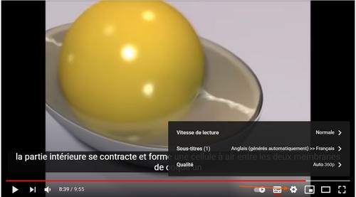 Vidéo animation pour voir la fabrication d'un oeuf de poules 