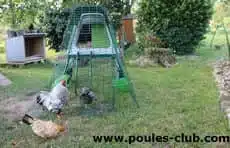 Poulailler Eglu Go Up pour 2 à 3 poules