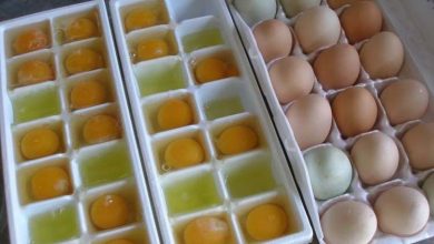 Pour tout savoir sur le stockage et la conservation des œufs