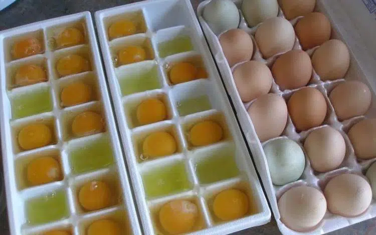 Pour tout savoir sur le stockage et la conservation des œufs