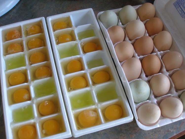 Conservation des œufs : quelle est la meilleure méthode ?