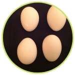 Des œufs de forme anormale