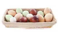 Augmentation de la production d’œufs