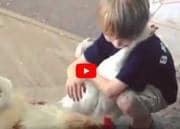 Câlin entre une poule et un enfant