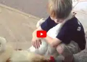 Câlin entre une poule et un enfant