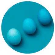 Des œufs au bleu différent