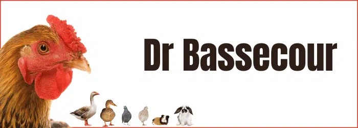 Vétérinaires poules : Docteur Bassecour