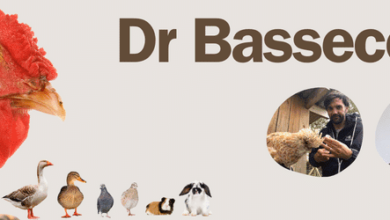 Vétérinaires poules : Docteur Bassecour